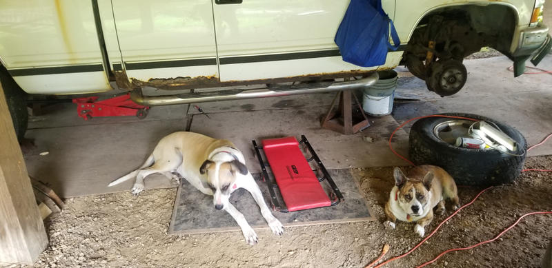 The goodest helpers